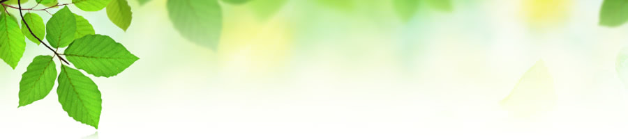 花の趣味ブログ